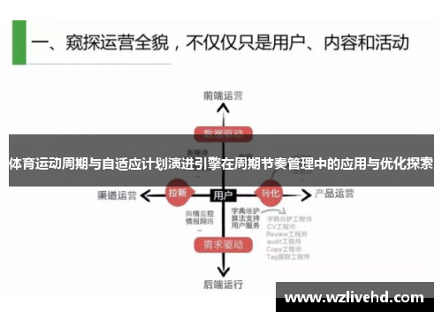 体育运动周期与自适应计划演进引擎在周期节奏管理中的应用与优化探索